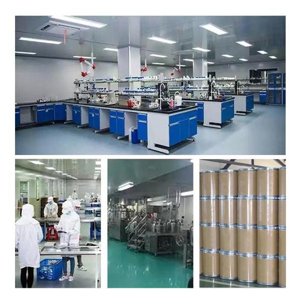 Çin Shaanxi Baisifu Biological Engineering Co., Ltd. şirket Profili