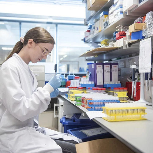 Shaanxi Baisifu Biological Engineering Co., Ltd. fabrika üretim hattı