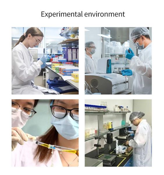 Shaanxi Baisifu Biological Engineering Co., Ltd. fabrika üretim hattı