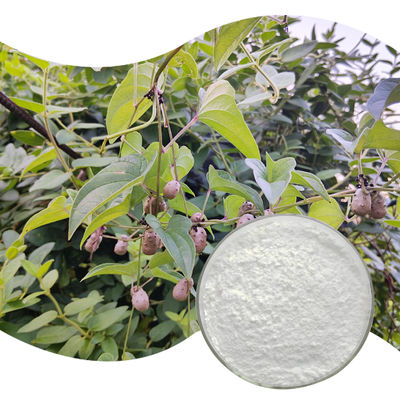 Baisfu high quality White crystals powder pure plant Extract Dioscin powder CAS 19057-60-4 for food additive