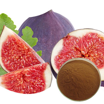 Baisfu High Quality Ficus Carica Leaf Extract Pure Natural Organic Brown Fine Powder For Functional Food Additives and Health Supplements