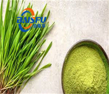 Shaanxi Baisfu pure natura plant extract Green fine powder Natural food colorings  Barley Grass Powder For DIy drinking and baked food