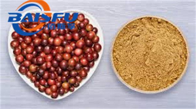 Baisfu pure natural plant extract Brown yellow fine powder Camu powder 100% pass 80 mesh UV TLC Food Grade For Food and dietary supplement