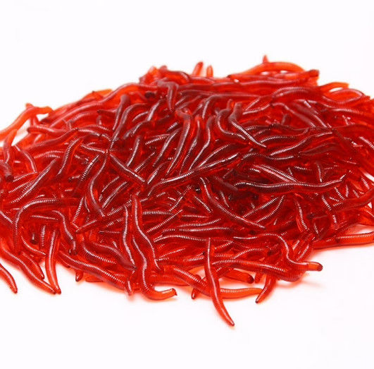 Hot Concentratest Red Worm Flavor Cat Dog Food Flavors And Spices Condiment