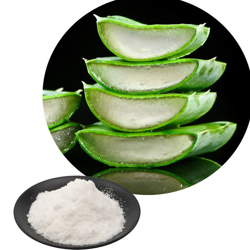 Shaanxi Baisfu natural Highly Concentrated 99% White fine Powder Aloe Vera Gel Freeze-dried Powder CAS NO: 85507-69-3 Food Grade for cosmetic and health care products