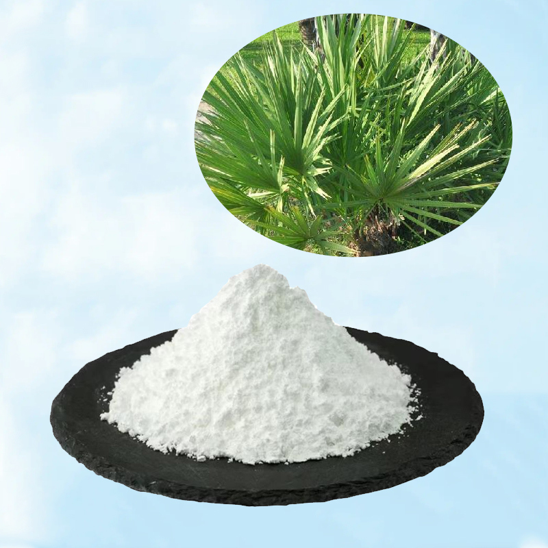 Baisfu Top Quality Saw Palmetto Extract Powder Saw Palmetto P.E. 98% Spec Saw Palmetto Fruit Extract with 25%-45% Fatty Acid and Solubility in Methanol  Saw Palmetto Extract CAS 84604-15-9 for food
