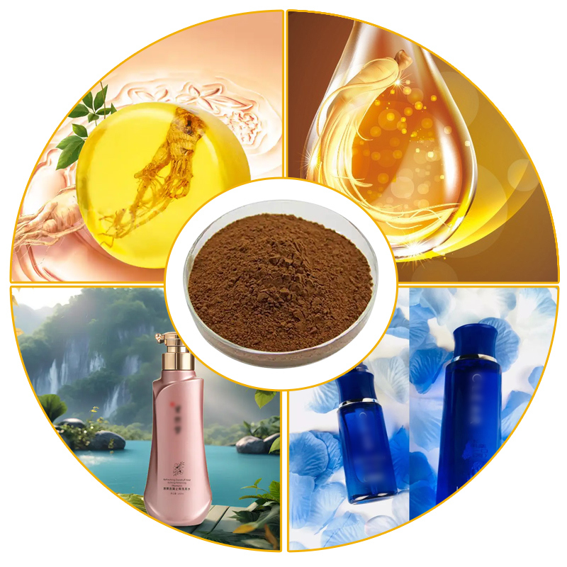 Baisfu Light Yellow Sophora Root P.E. 98% The matrine is a white crystalline powder sophorae Flavescentis Matrine CAS NO: 519-02-8 used in food and beverages