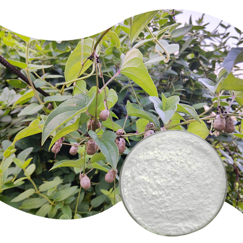 Baisfu high quality White crystals powder pure plant Extract Dioscin powder CAS 19057-60-4 for food additive
