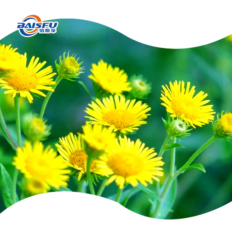 High-Purity 1,6-0,O-Diacetylbritannilactone CAS 131340-79-1for Cosmetic & Research