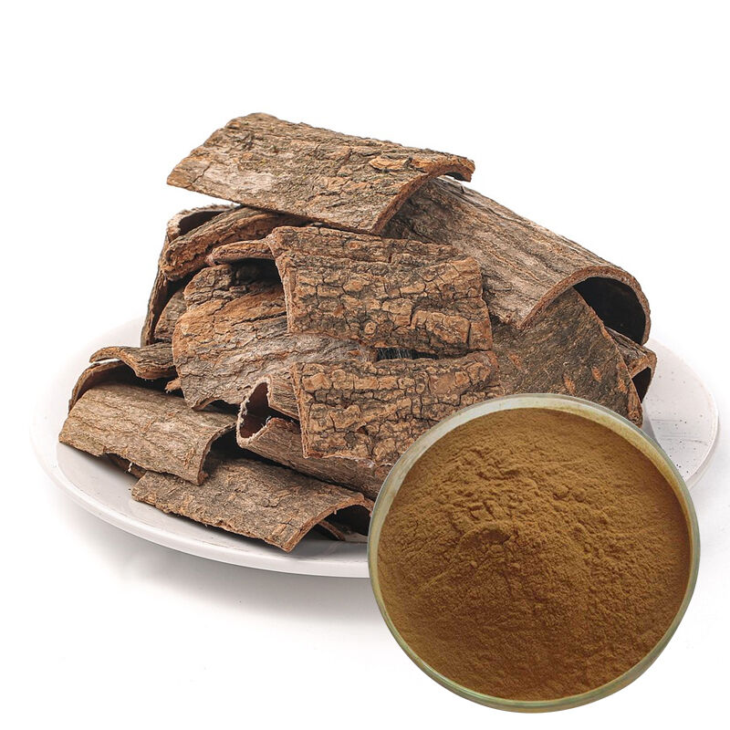 Baisfu best Quality Eucommia leaves extract Brown Fine Powder For medicine and cosmetic