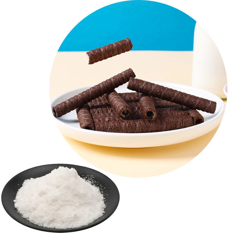 Chocolate Flavor Powder/Concentrate | Natural & Artificial | Rich & Authentic Taste | For Baking, Beverages, Dairy