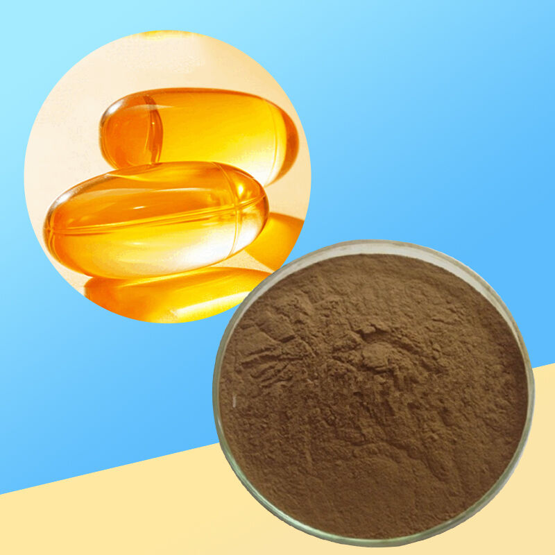 Baisfu Factory Wholesale Epimedium Extract High Quality Brownish-Brown Powder for Health Supplements and Food 