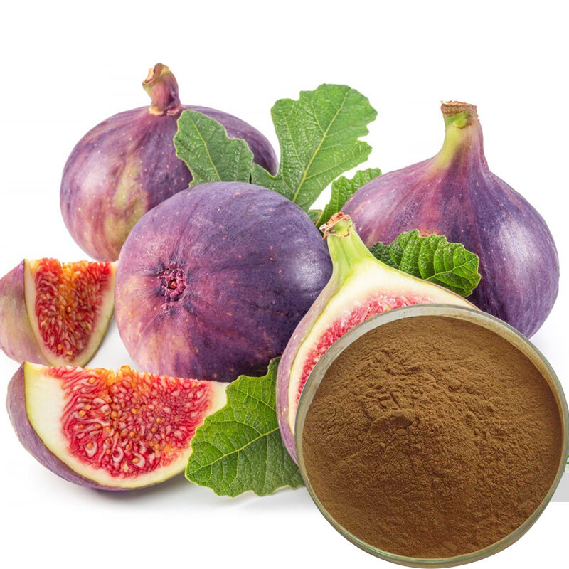 Baisfu Wholesale Ficus Carica Extract High Quality Brown Fine Powder Water-soluble for Health Supplements and Food Additive