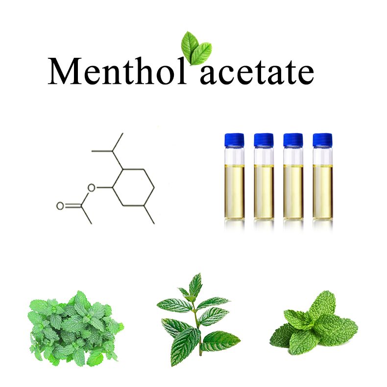 Menthol Acetate 99% (CAS 89-48-5) | High Purity Flavor & Fragrance Ingredient